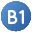 .B1 file format